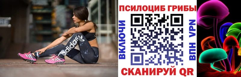 купить наркотик  Когалым  мориарти клад  Галлюциногенные грибы Psilocybe 